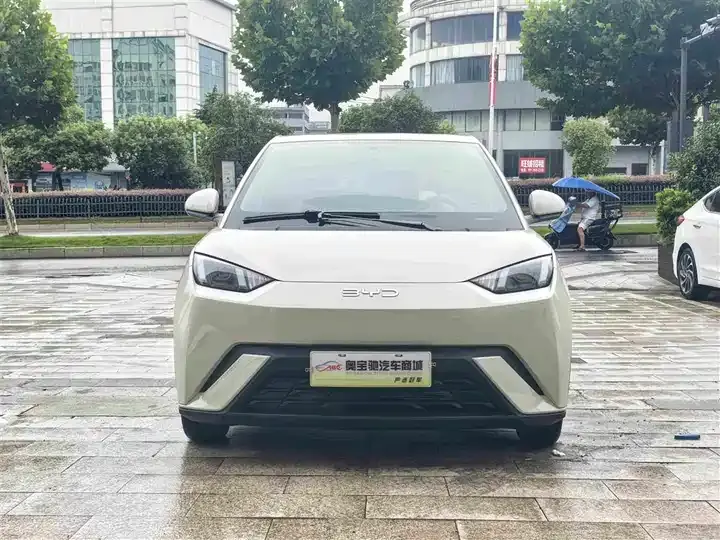 Seagull 2024 Glory Edition 305km Vital Edition 2