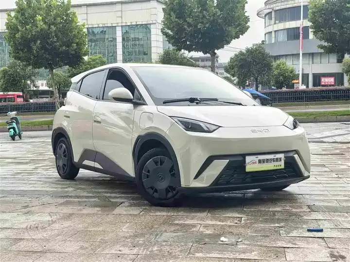 Seagull 2024 Glory Edition 305km Vital Edition 3