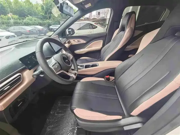 Seagull 2024 Glory Edition 305km Vital Edition 4