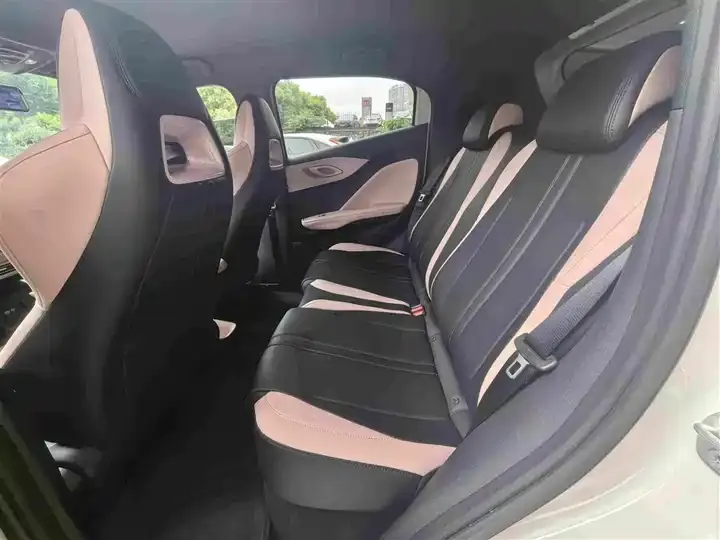 Seagull 2024 Glory Edition 305km Vital Edition 6