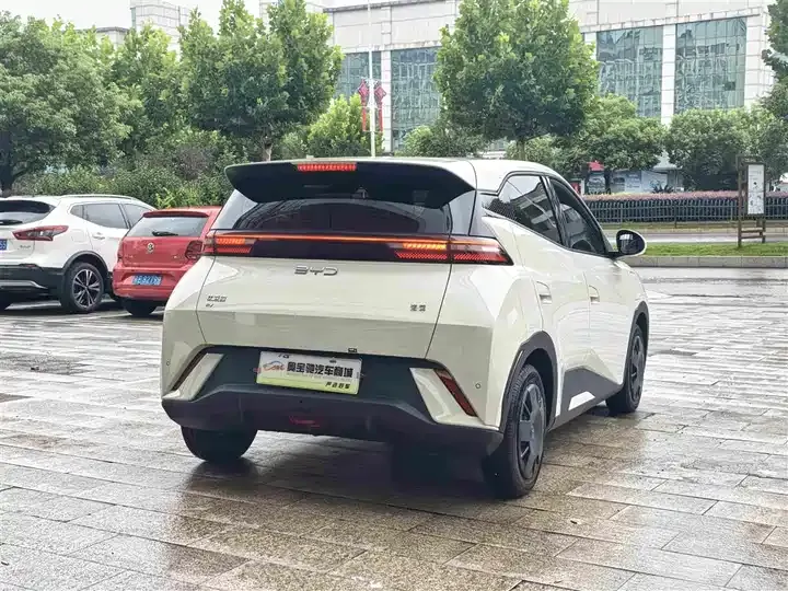 Seagull 2024 Glory Edition 305km Vital Edition 7