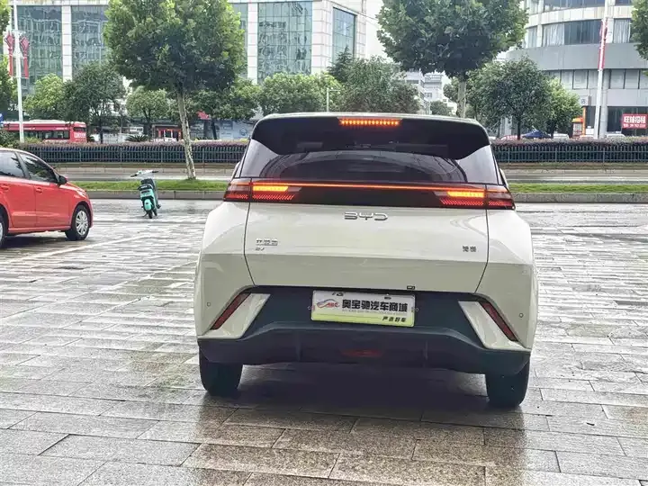 Seagull 2024 Glory Edition 305km Vital Edition 8