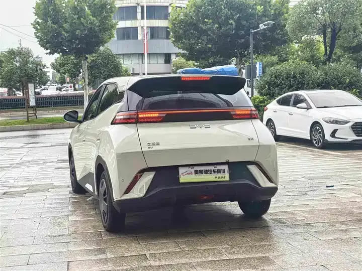 Seagull 2024 Glory Edition 305km Vital Edition 9