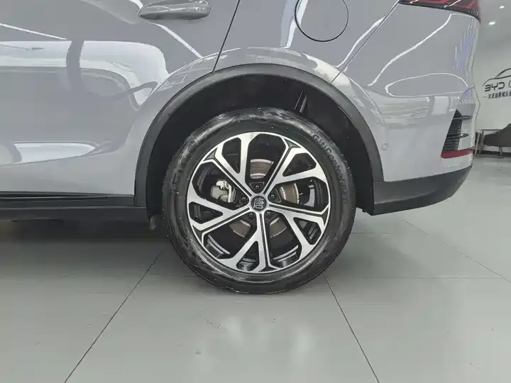Tang New Energy 2025 Smart Driving Edition DM-i 115KM Flagship 11