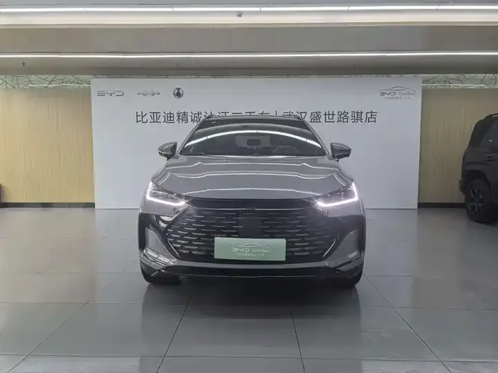 Tang New Energy 2025 Smart Driving Edition DM-i 115KM Flagship 2