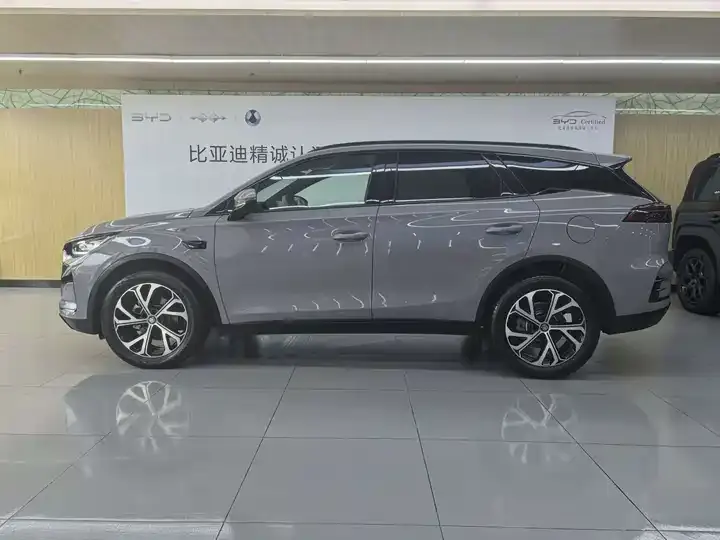 Tang New Energy 2025 Smart Driving Edition DM-i 115KM Flagship 3