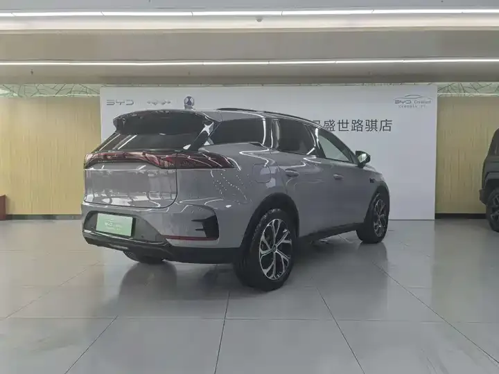 Tang New Energy 2025 Smart Driving Edition DM-i 115KM Flagship 4