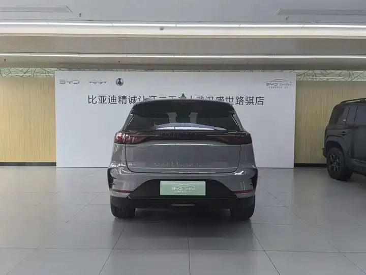 Tang New Energy 2025 Smart Driving Edition DM-i 115KM Flagship 5