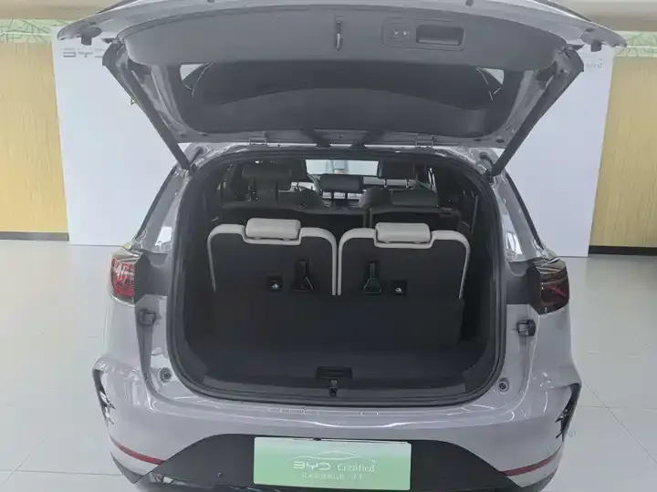 Tang New Energy 2025 Smart Driving Edition DM-i 115KM Flagship 6
