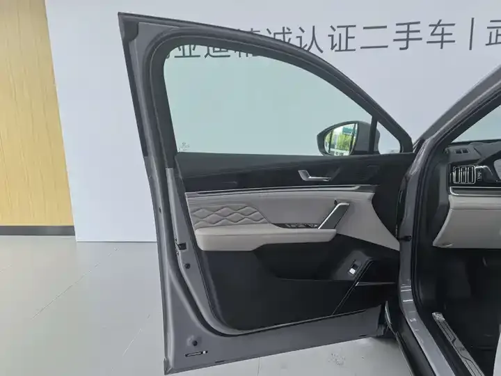 Tang New Energy 2025 Smart Driving Edition DM-i 115KM Flagship 7