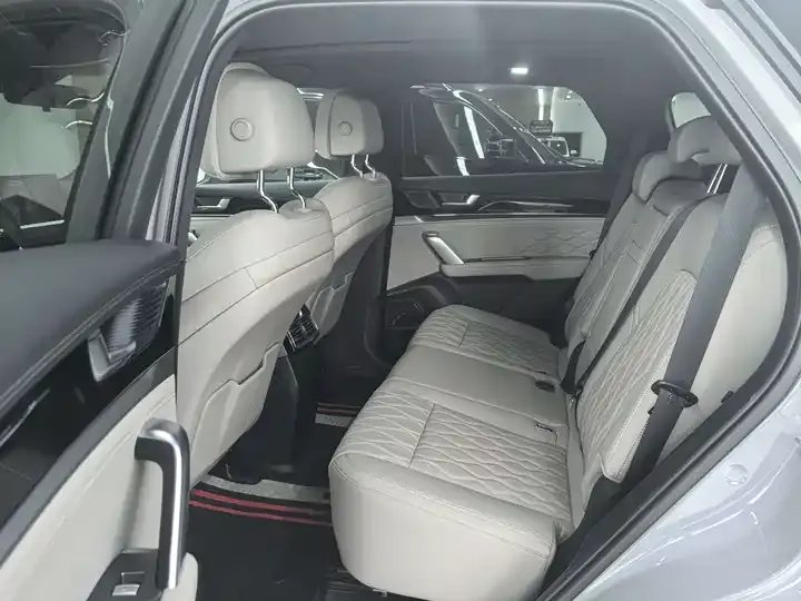 Tang New Energy 2025 Smart Driving Edition DM-i 115KM Flagship 9