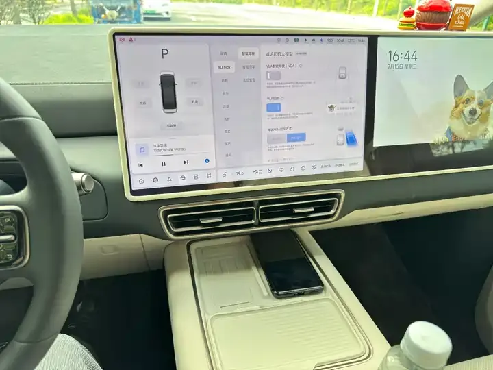 Li MEGA 2025 Home Home Special Edition 6