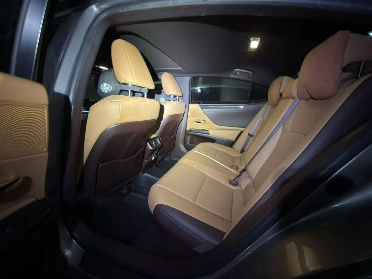 Lexus ES (Imported) 2020 ES300h 2.5 Stepless Excellence Edition Automatic Gear 4
