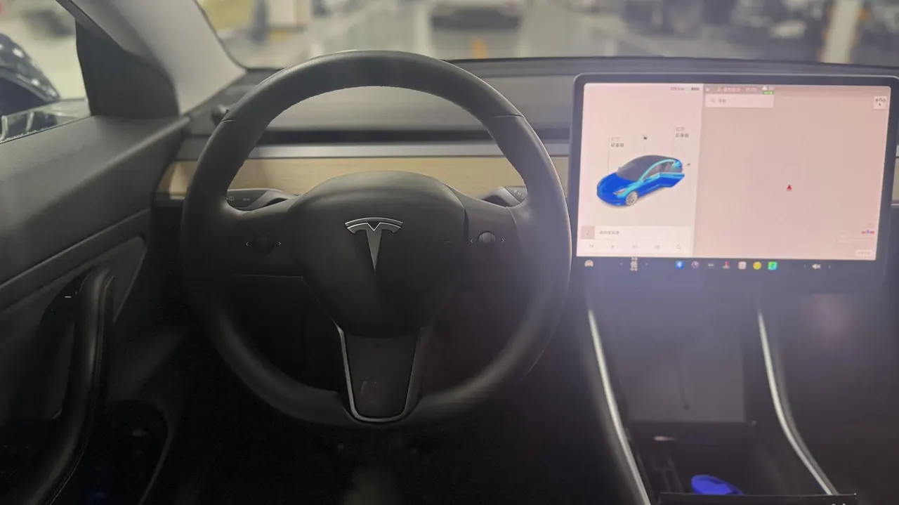 Tesla 2020 Model 3 Long Endurance Rear Wheel Drive Automatic Transmission 8