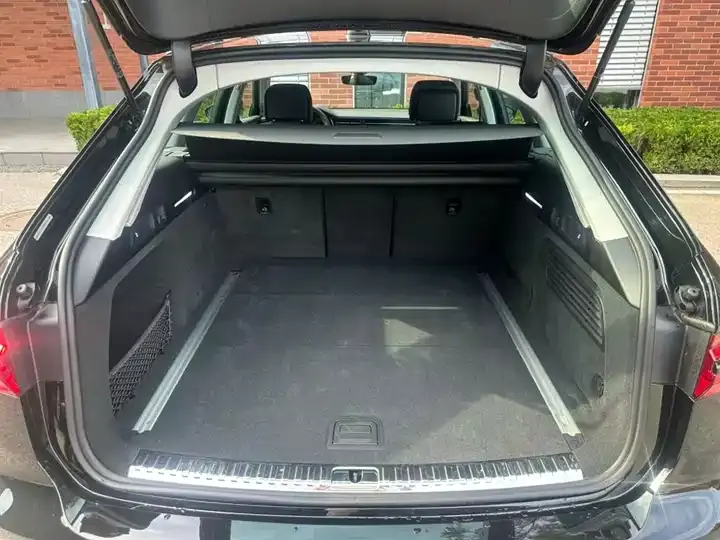 Audi A6 (Imported) 2024 allroad quattro 55 TFSI Exclusive Off-road Model 10