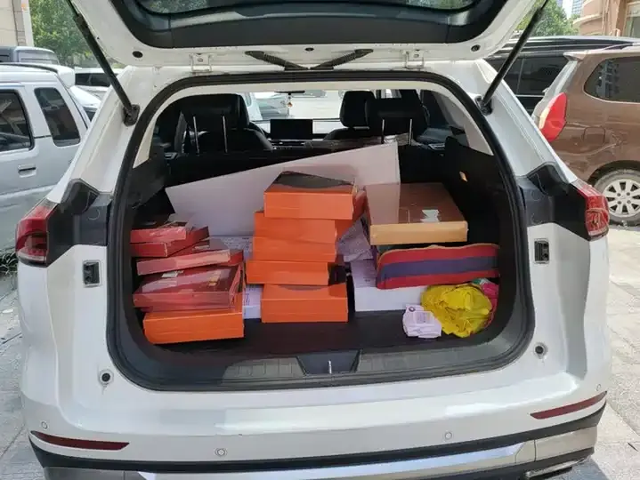 Haval H6 2023 National Tide Edition 1.5T Automatic City Edition 4