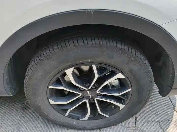 Haval H6 2023 National Tide Edition 1.5T Automatic City Edition 6