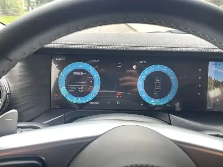 Tank 300 2021 Off-Road Edition 2.0T Challenger 5