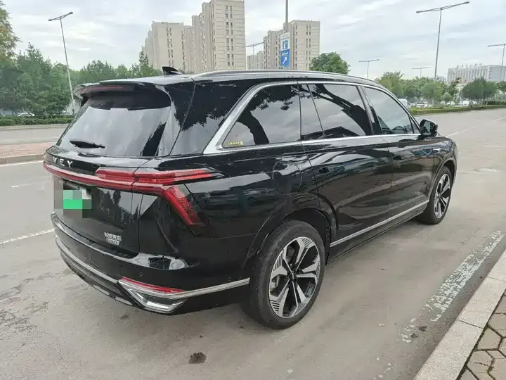 WEY Blue Mountain 2023 Four-wheel Drive Long Endurance Edition 2