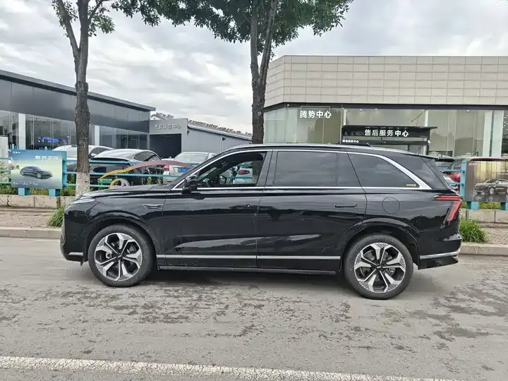 WEY Blue Mountain 2023 Four-wheel Drive Long Endurance Edition 4