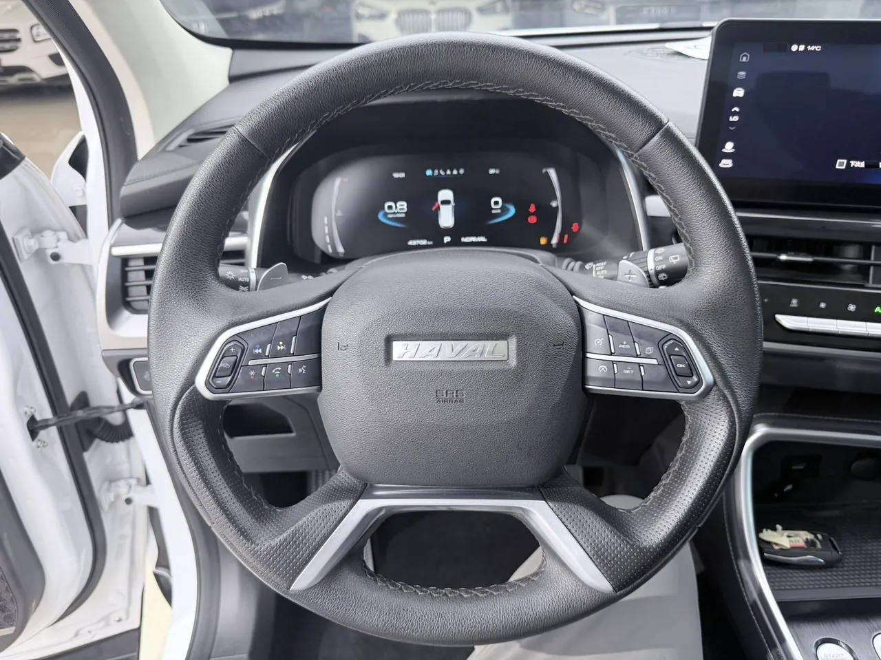 Haval 2021 H6 1.5T National Tide Champion Edition Automatic Gear 10