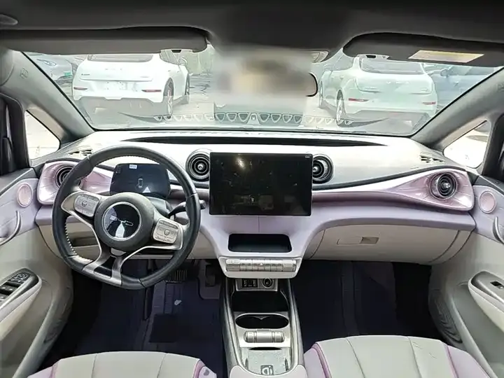 Dolphin 2021, 405 km, Fashion Edition 10