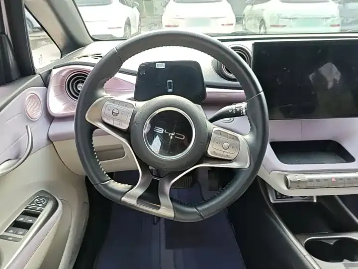 Dolphin 2021, 405 km, Fashion Edition 11
