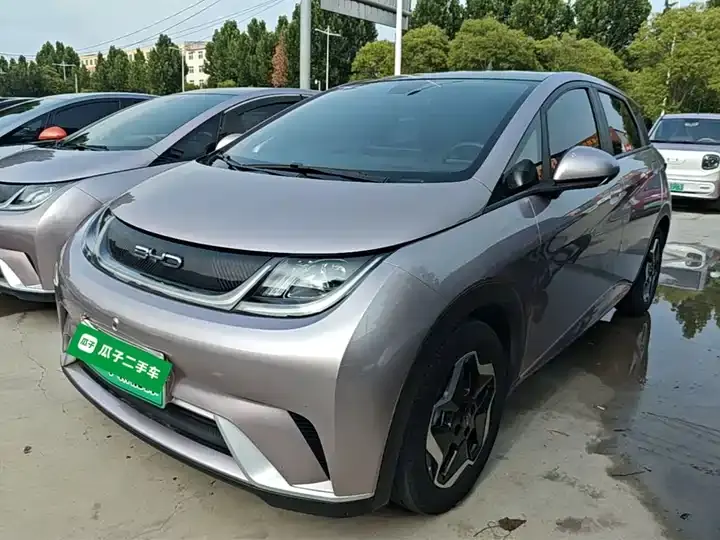 Dolphin 2021, 405 km, Fashion Edition 2