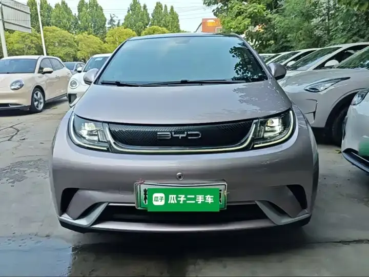 Dolphin 2021, 405 km, Fashion Edition 3