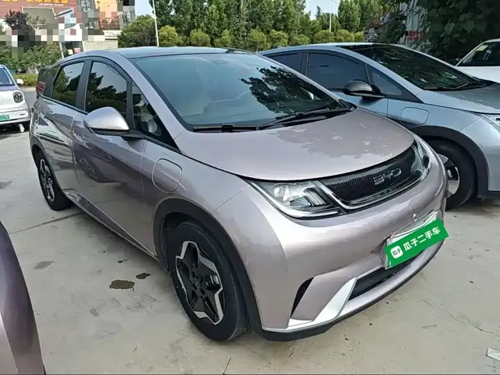Dolphin 2021, 405 km, Fashion Edition 4