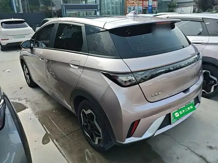 Dolphin 2021, 405 km, Fashion Edition 5