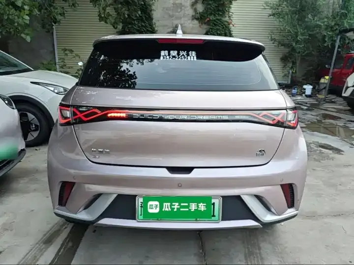 Dolphin 2021, 405 km, Fashion Edition 6