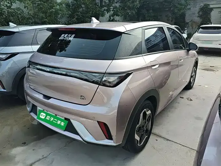 Dolphin 2021, 405 km, Fashion Edition 7