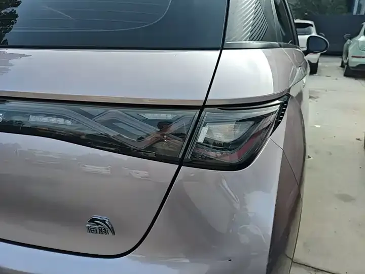 Dolphin 2021, 405 km, Fashion Edition 8