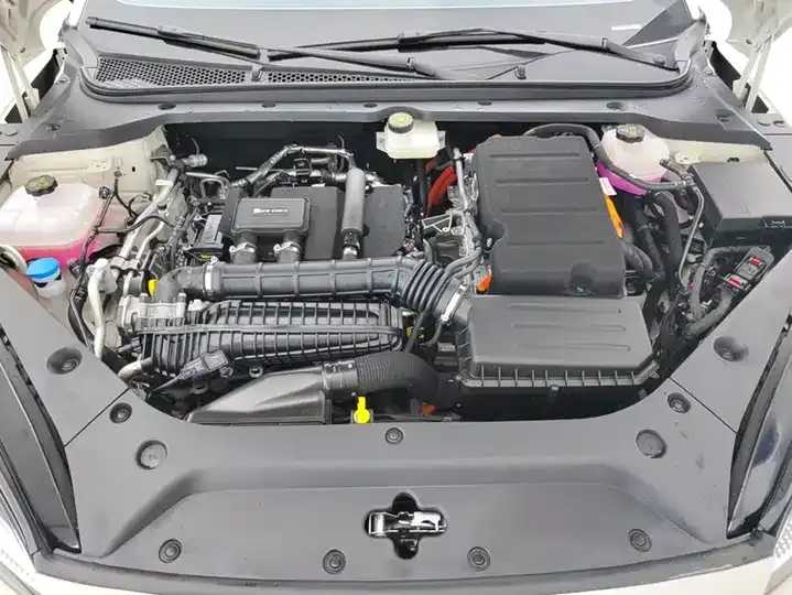 Seal 06 2024 DM-i 120KM Honor Model 10