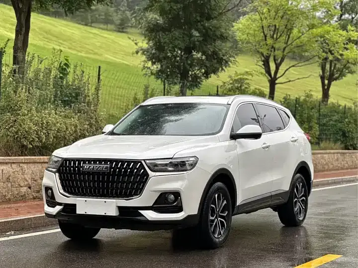Open image lightbox: Haval H6 2023 National Tide Edition 1.5T Automatic City Edition