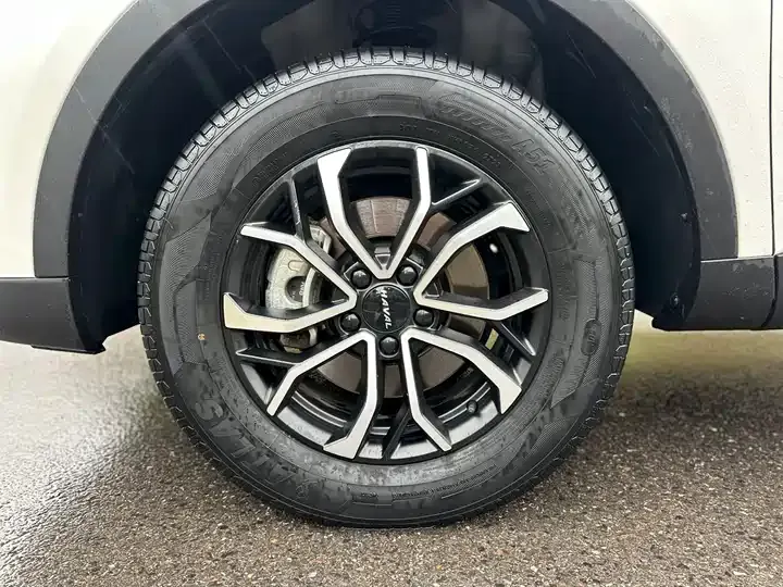 Haval H6 2023 National Tide Edition 1.5T Automatic City Edition 12