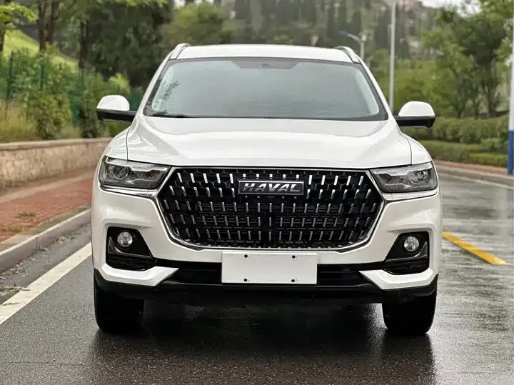 Haval H6 2023 National Tide Edition 1.5T Automatic City Edition 2