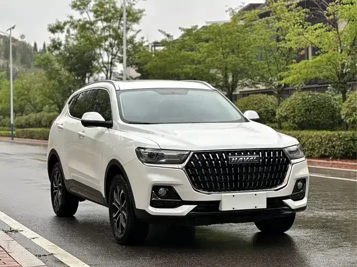 Haval H6 2023 National Tide Edition 1.5T Automatic City Edition 3