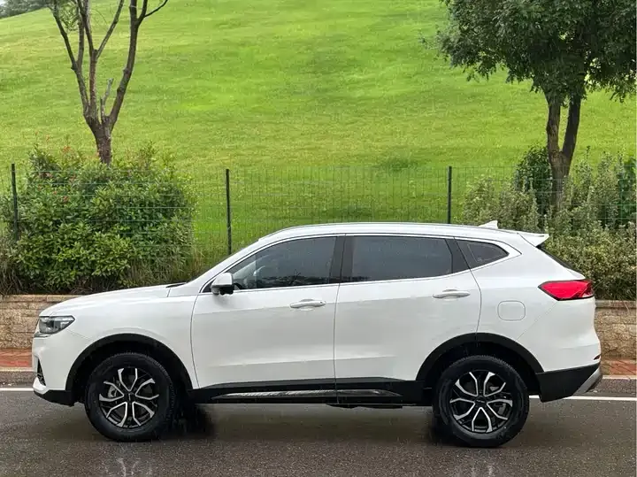 Haval H6 2023 National Tide Edition 1.5T Automatic City Edition 4