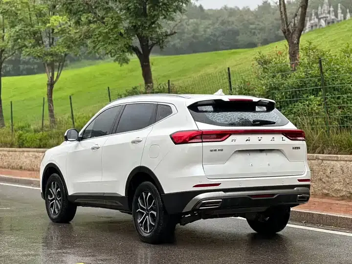 Haval H6 2023 National Tide Edition 1.5T Automatic City Edition 5