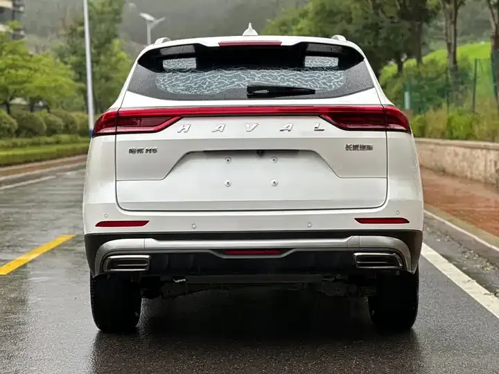 Haval H6 2023 National Tide Edition 1.5T Automatic City Edition 6