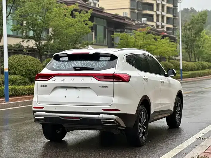 Haval H6 2023 National Tide Edition 1.5T Automatic City Edition 7