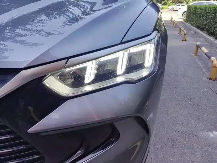 Song Pro New Energy 2023 Champion Edition DM-i 110KM Excellence 5