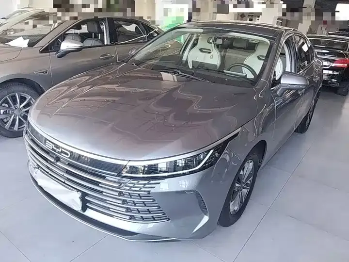 Destroyer 05 2024 Glory Edition DM-i 55km Luxury Model - View 1