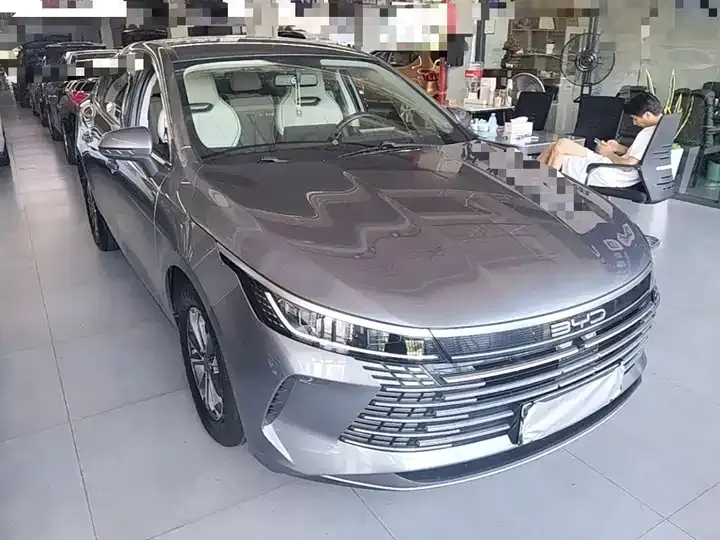 Destroyer 05 2024 Glory Edition DM-i 55km Luxury Model 4