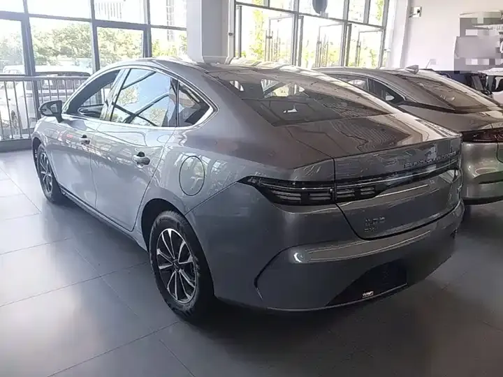 Destroyer 05 2024 Glory Edition DM-i 55km Luxury Model 5