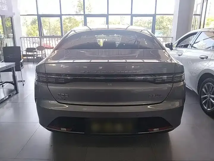 Destroyer 05 2024 Glory Edition DM-i 55km Luxury Model 6