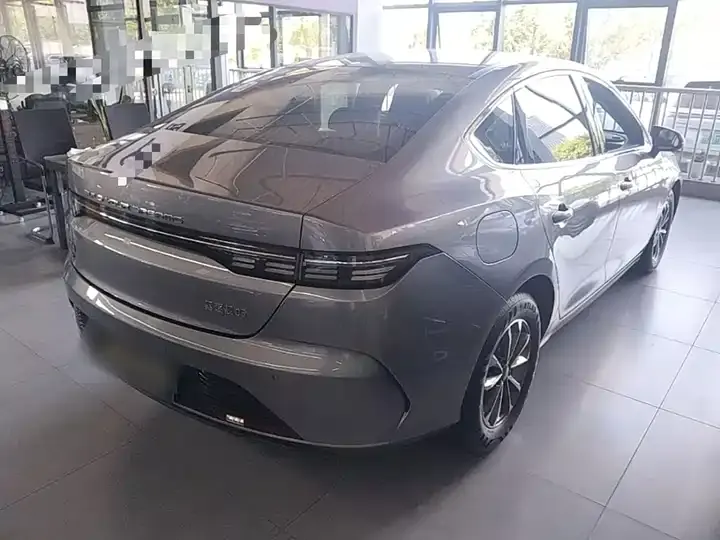 Destroyer 05 2024 Glory Edition DM-i 55km Luxury Model 7