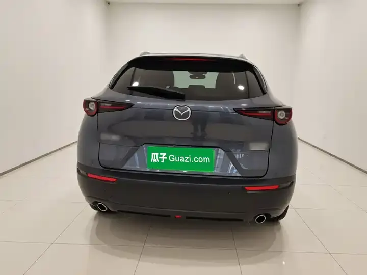 Mazda CX-30 2021 2.0L Auto Jiayue 5